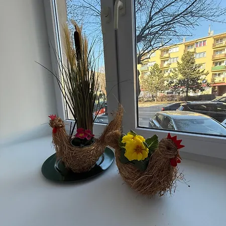 Daire Komnata Tajemnic W Centrum Miasta